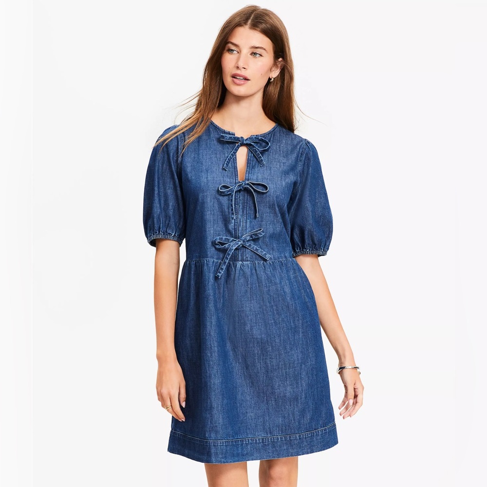 LOFT Chambray Bow Mini Pocket Dress